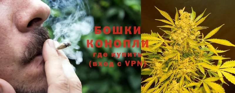 Марихуана SATIVA & INDICA  Богородицк 